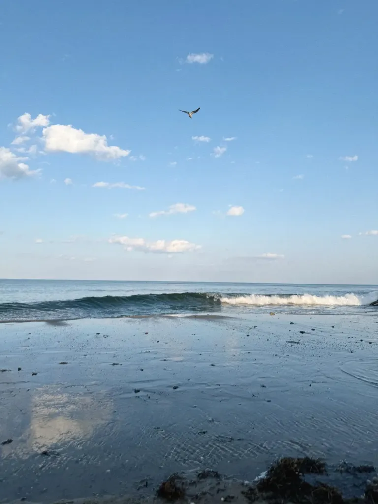 17 Johnson Avenue Hampton NH 03290-4906