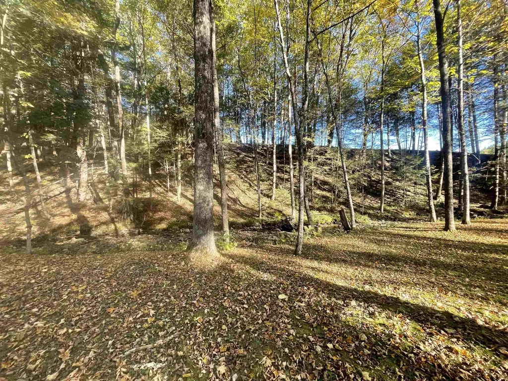 468 Park Laughton Road Dummerston VT 05346