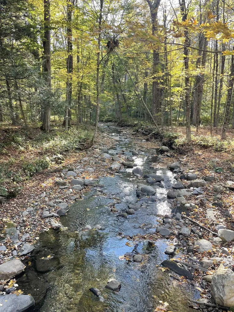 468 Park Laughton Road Dummerston VT 05346