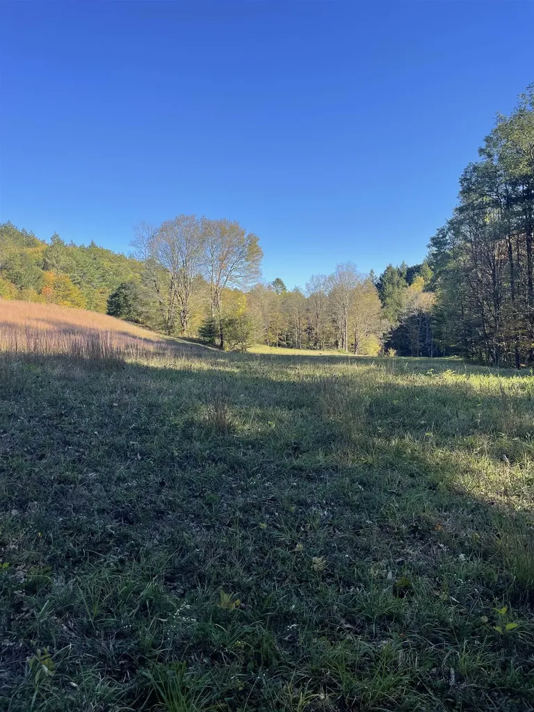 468 Park Laughton Road Dummerston VT 05346