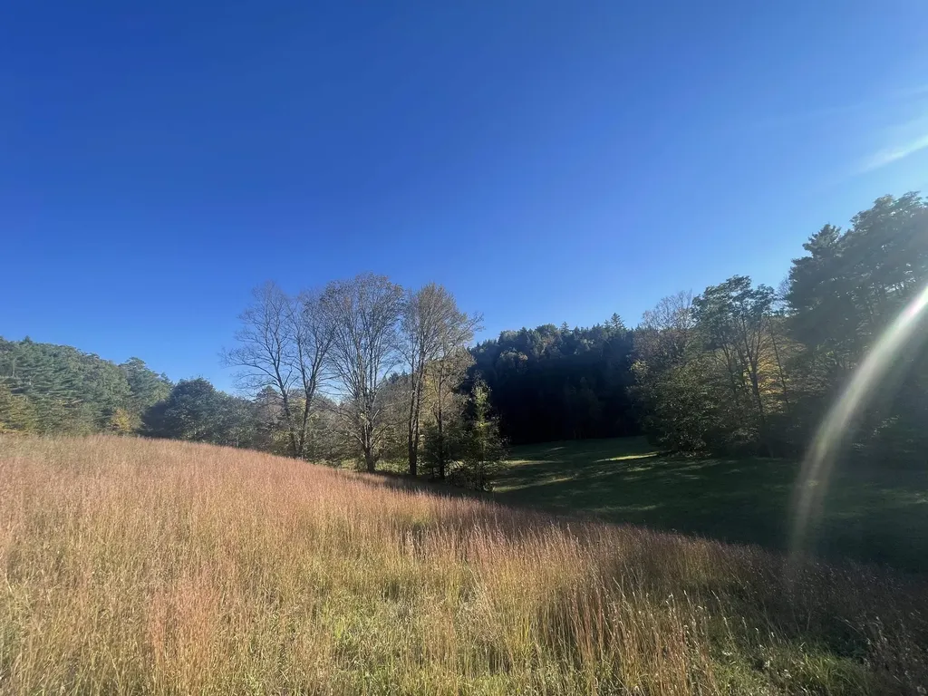 468 Park Laughton Road Dummerston VT 05346