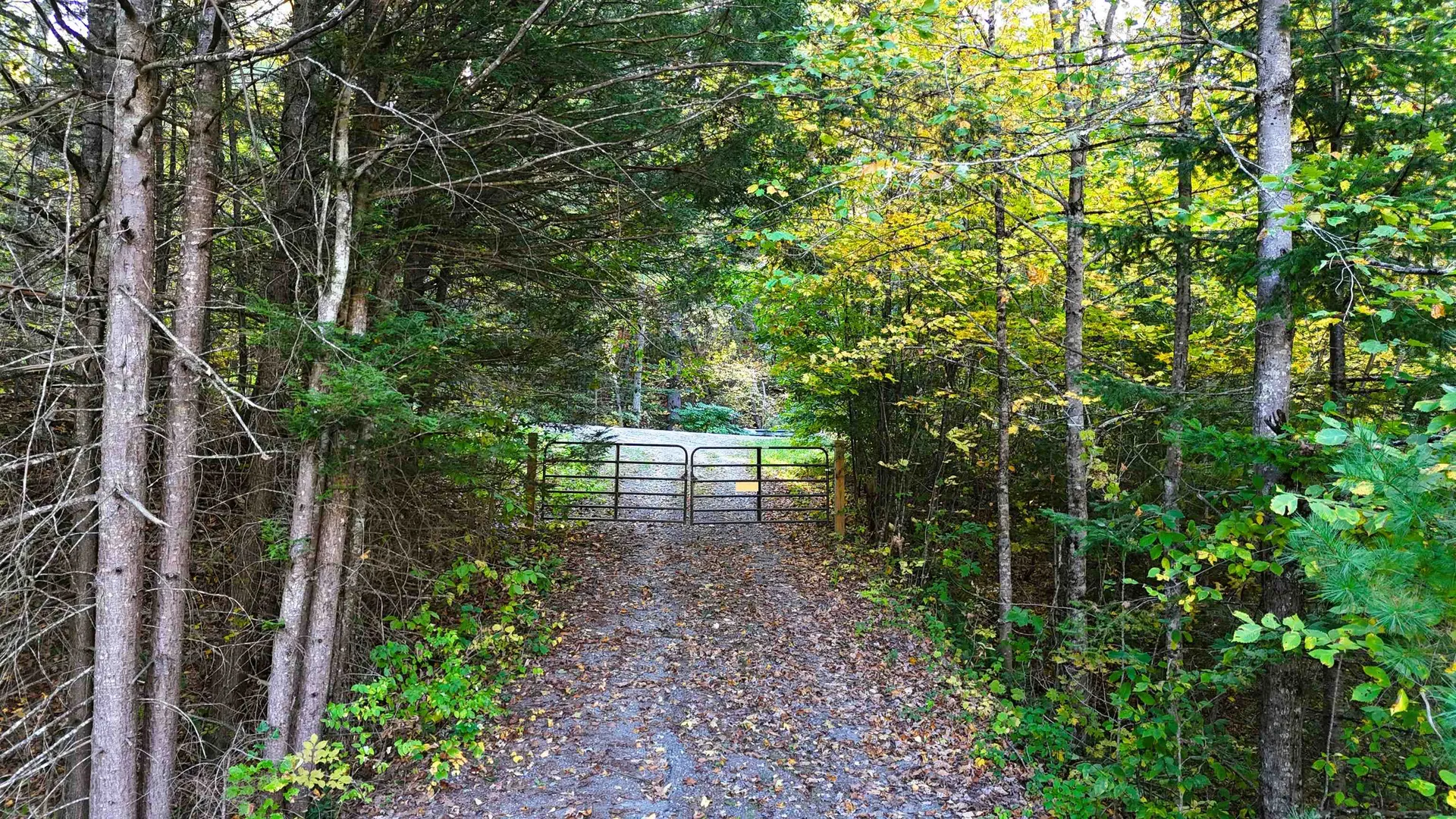 468 Park Laughton Road Dummerston VT 05346