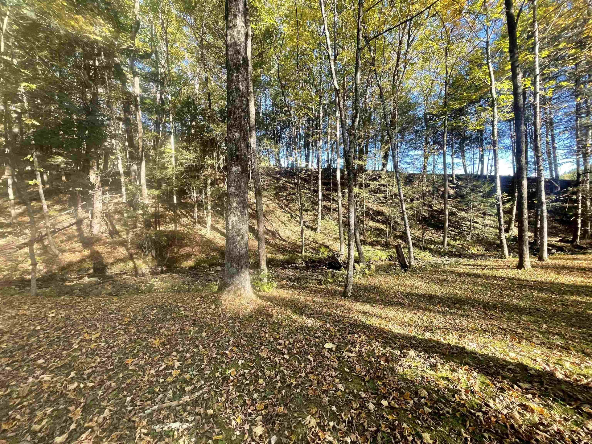 468 Park Laughton Road Dummerston VT 05346