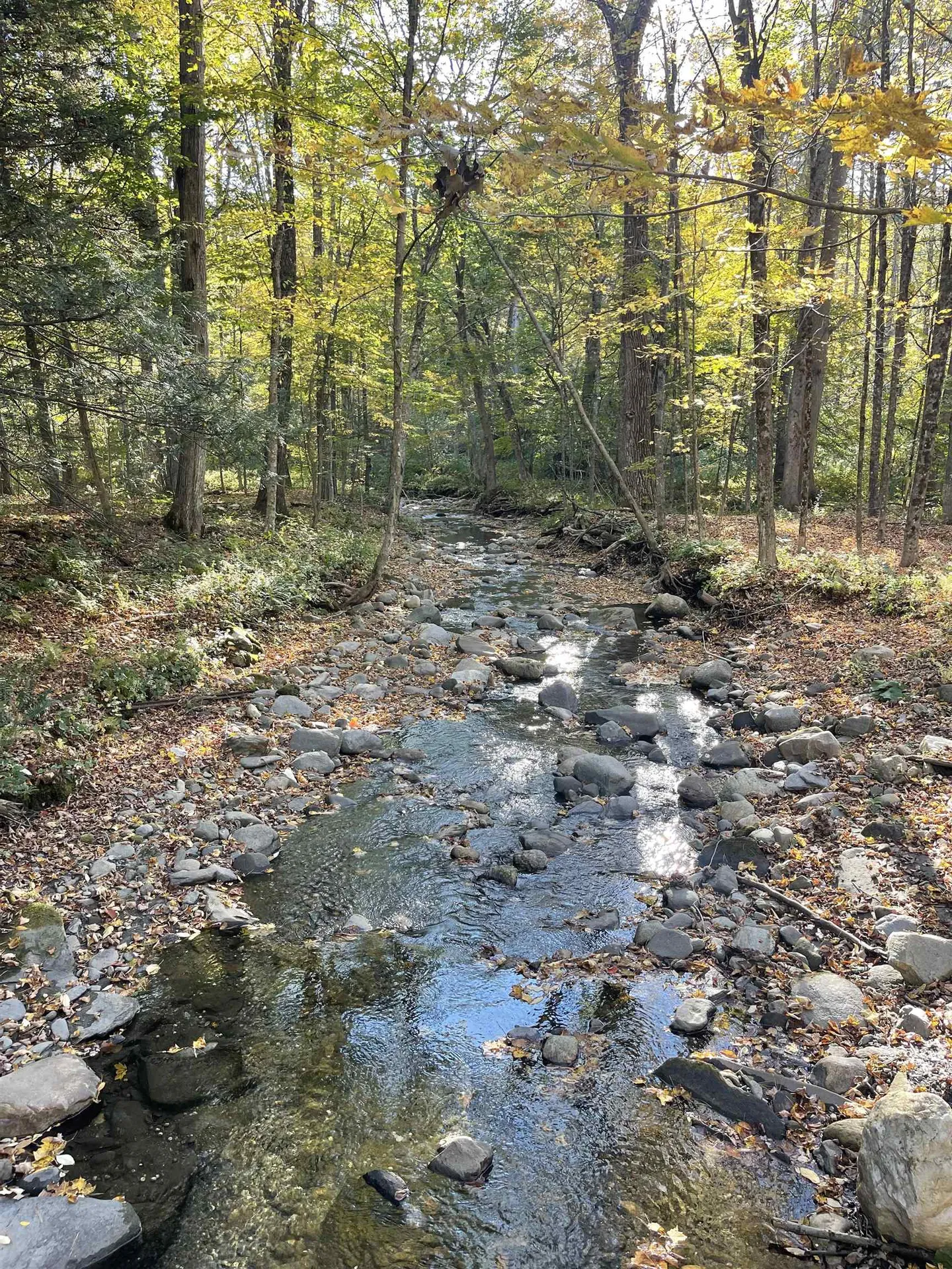 468 Park Laughton Road Dummerston VT 05346