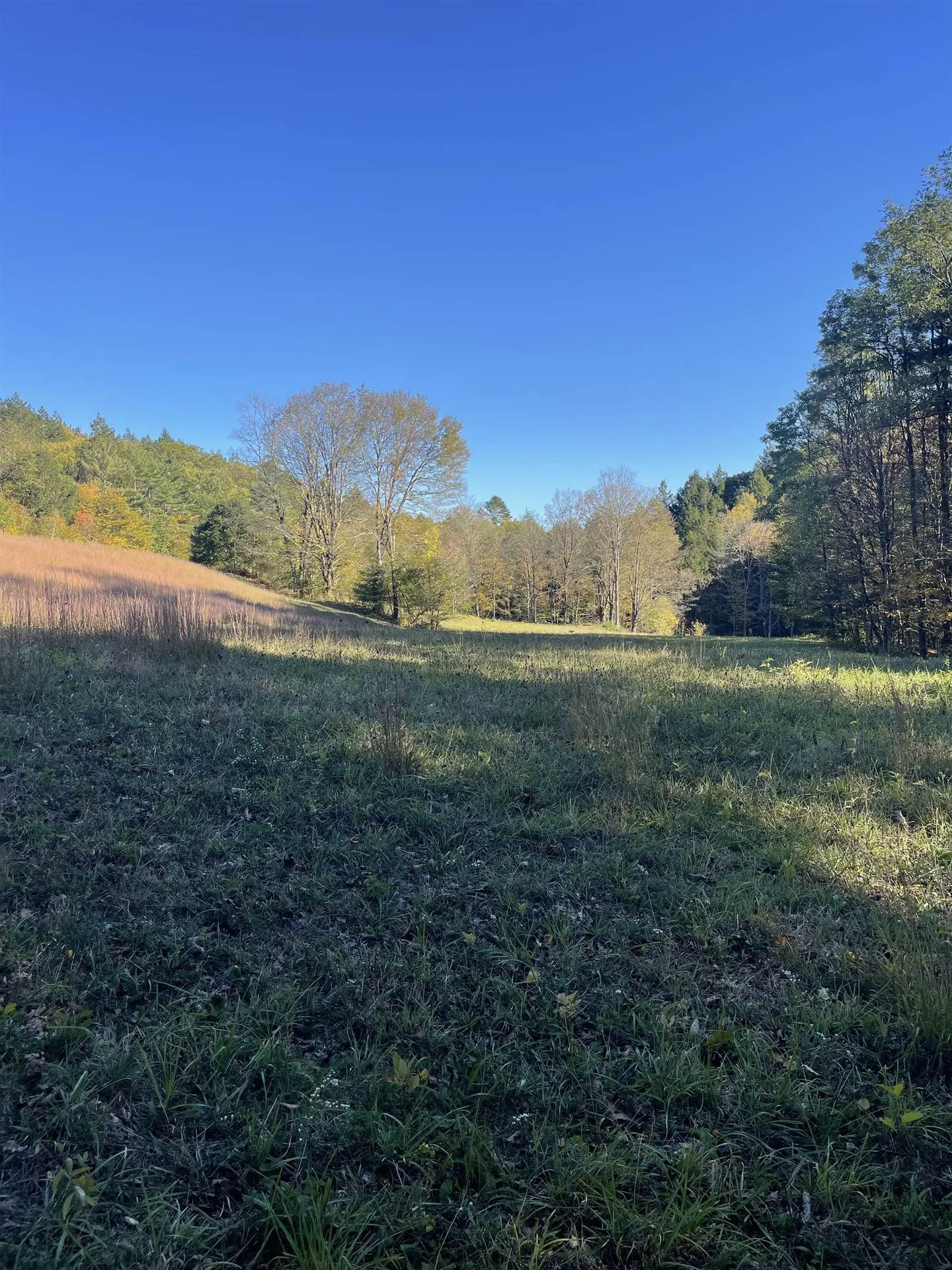 468 Park Laughton Road Dummerston VT 05346