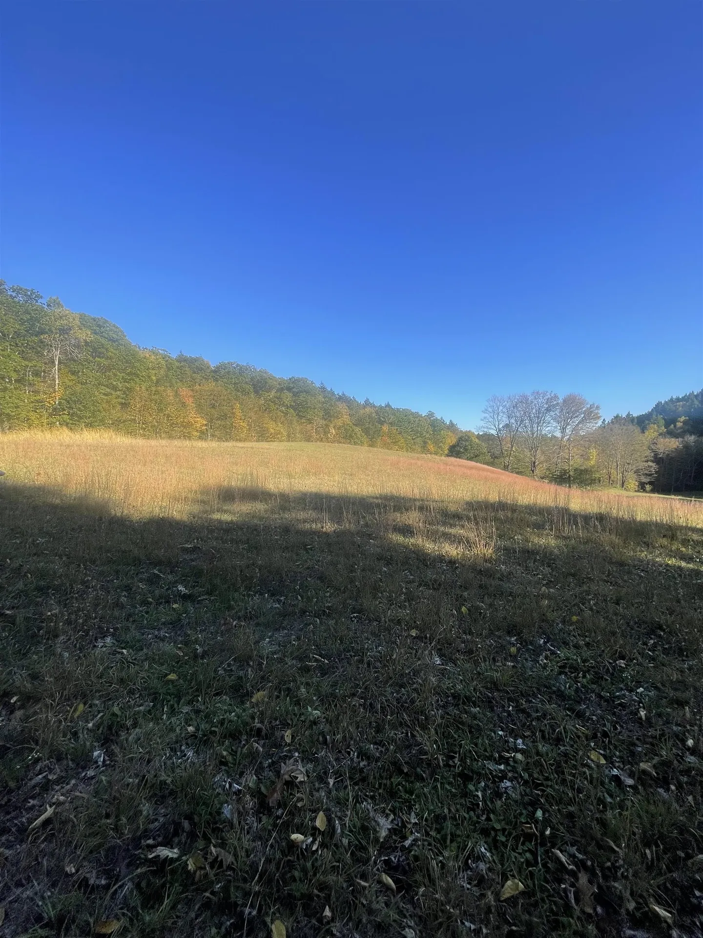 468 Park Laughton Road Dummerston VT 05346