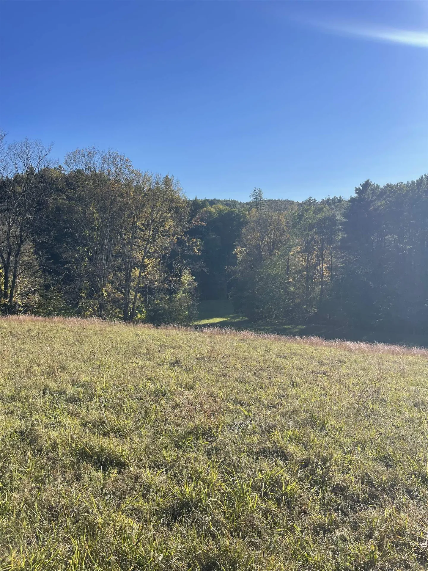 468 Park Laughton Road Dummerston VT 05346