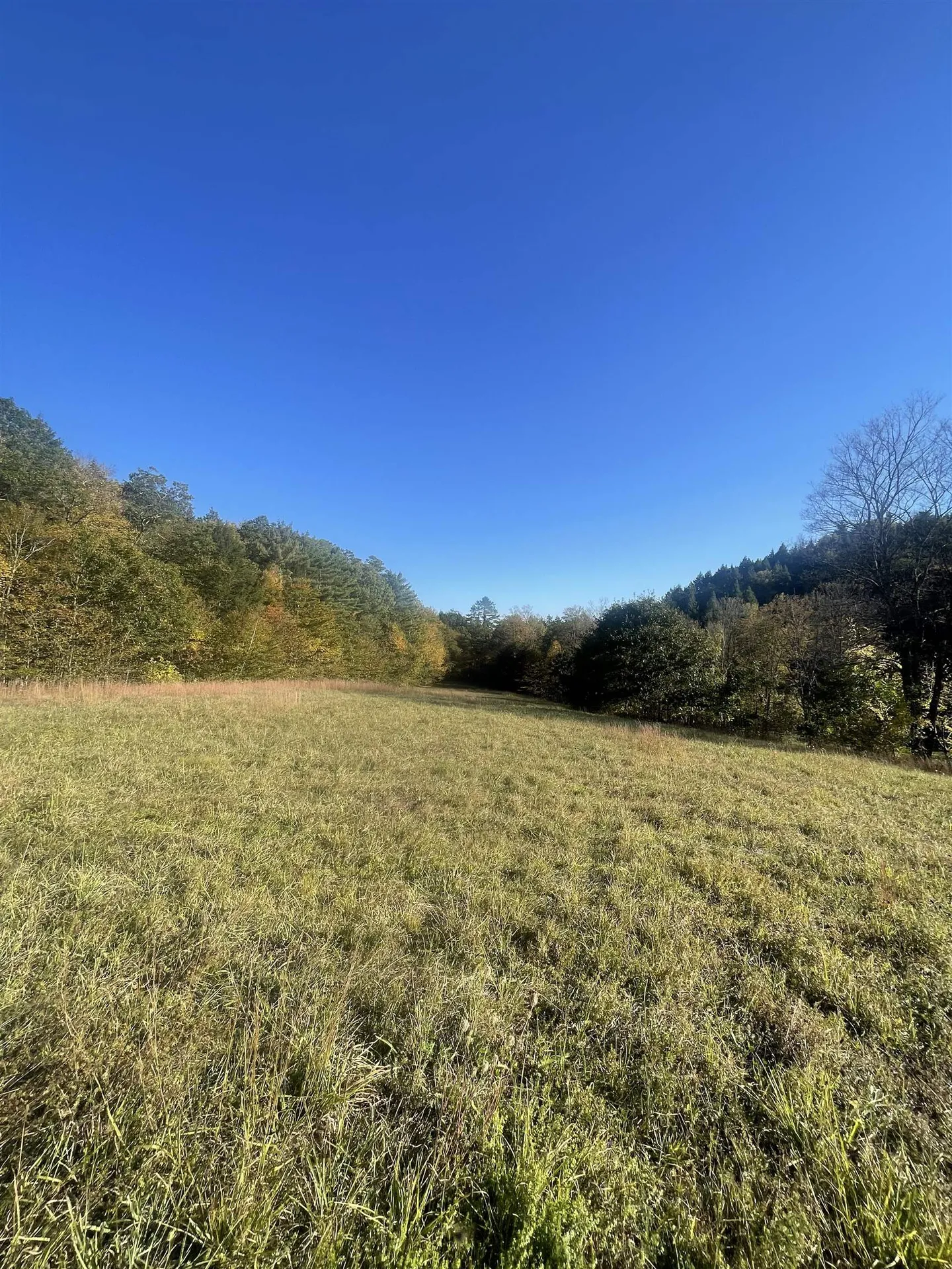 468 Park Laughton Road Dummerston VT 05346