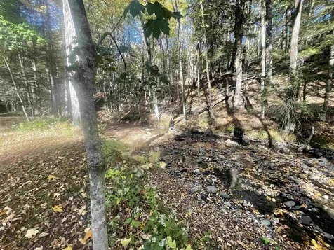 468 Park Laughton Road Dummerston VT 05346