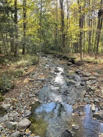 468 Park Laughton Road Dummerston VT 05346