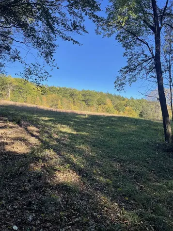 468 Park Laughton Road Dummerston VT 05346