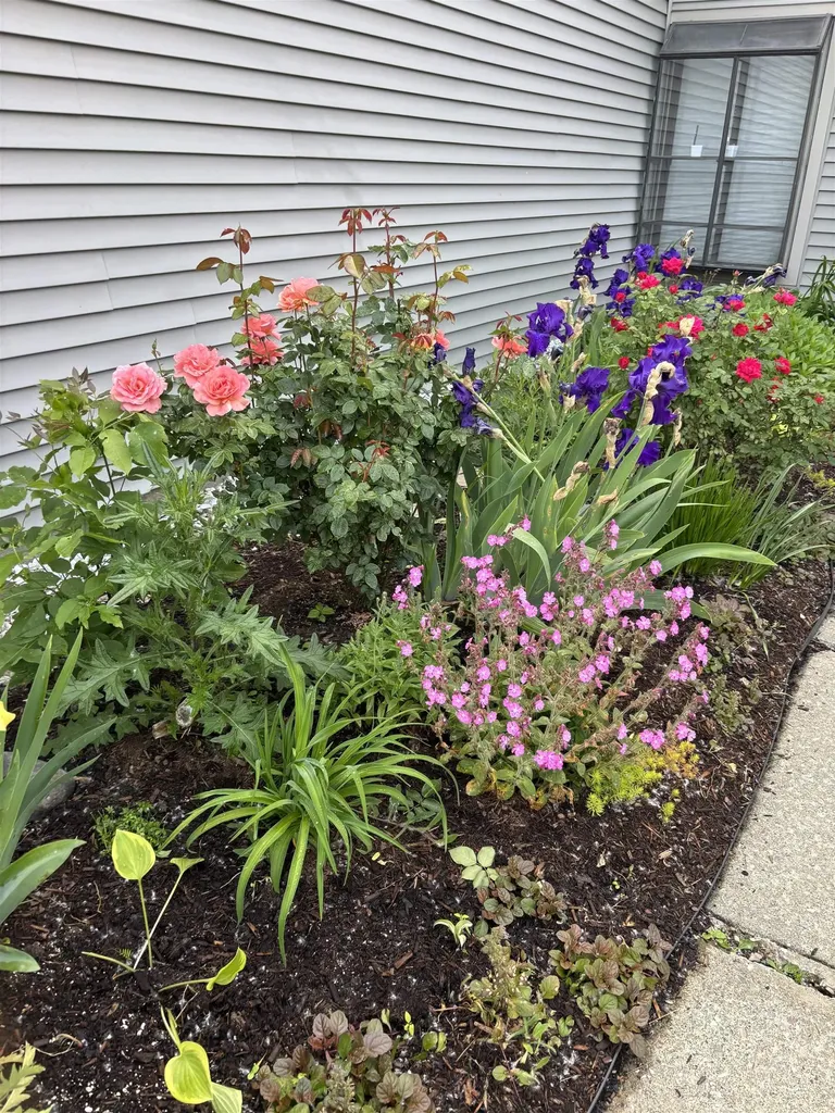 357 Locust Hill Road Shelburne VT 05482