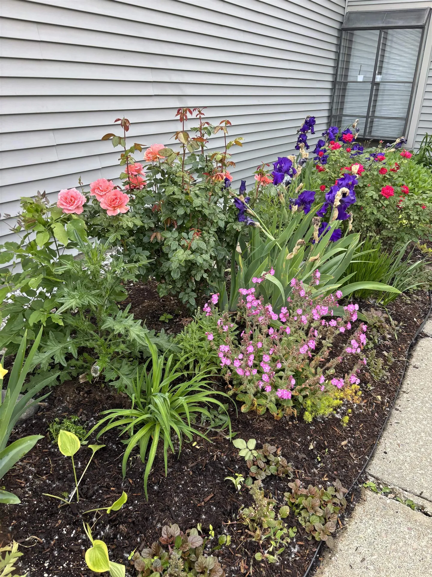 357 Locust Hill Road Shelburne VT 05482