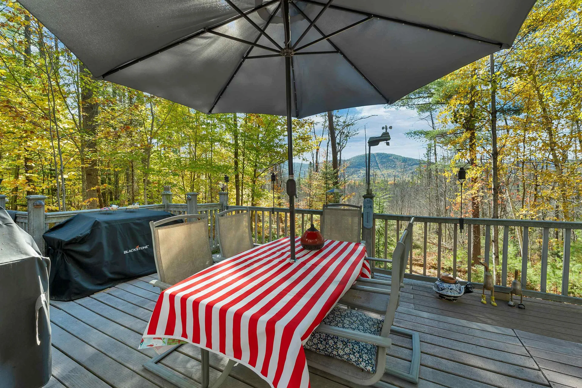 20 Pine Lane Road Ossipee NH 03890