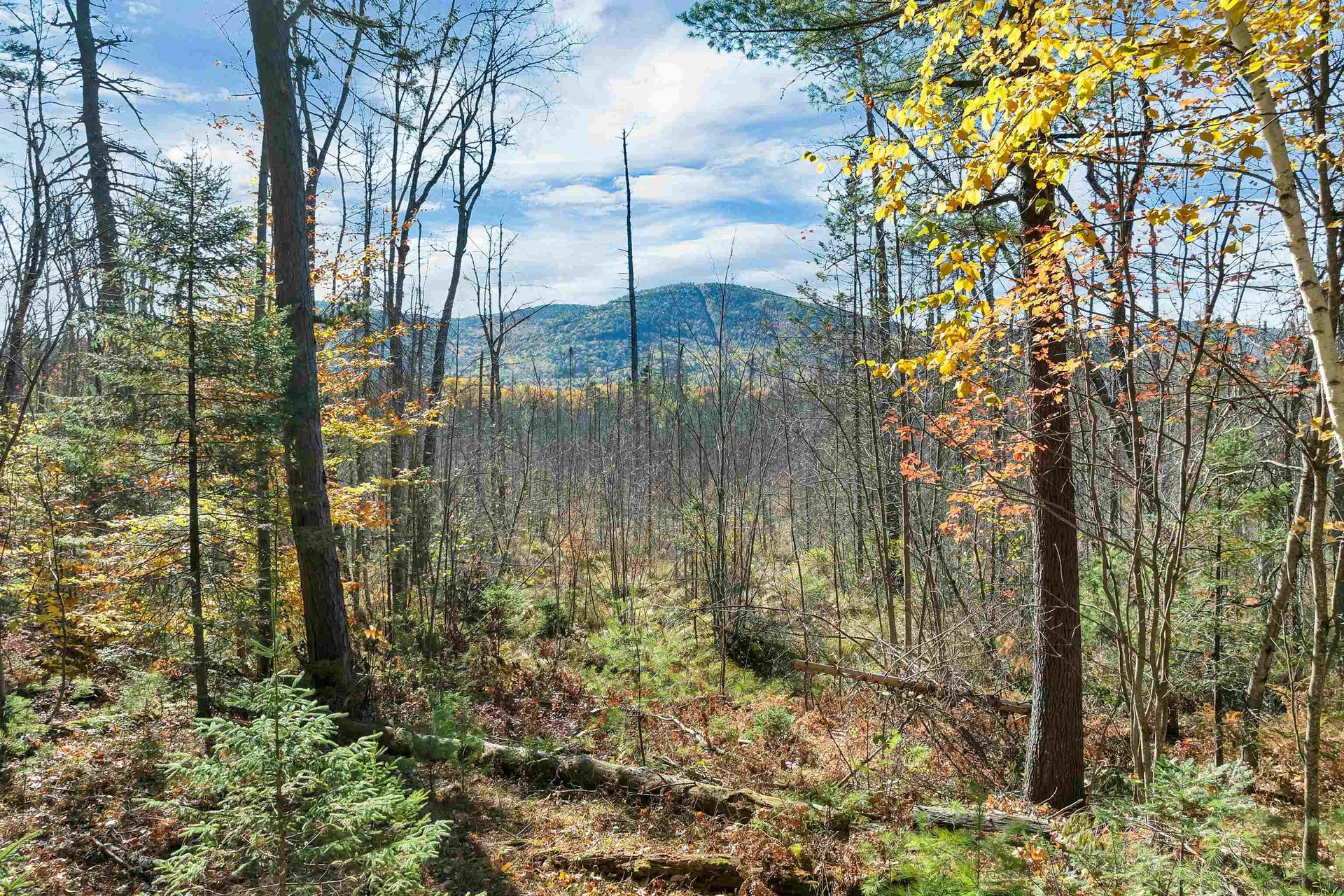 20 Pine Lane Road Ossipee NH 03890