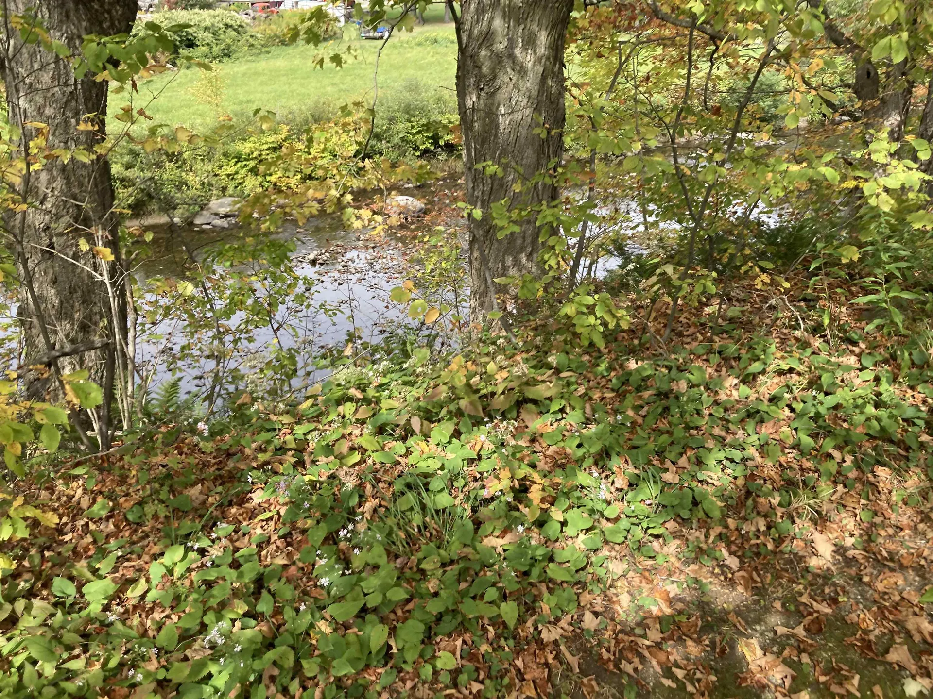 8 Happy Haven Road Wilmington VT 05363