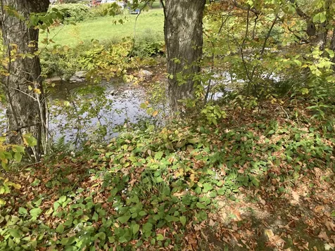 8 Happy Haven Road Wilmington VT 05363