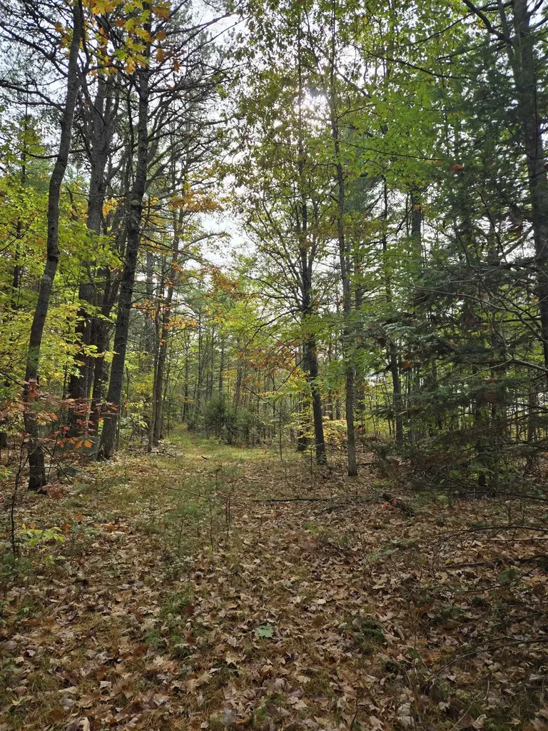 133 Plantation Lane Brownfield ME 04010