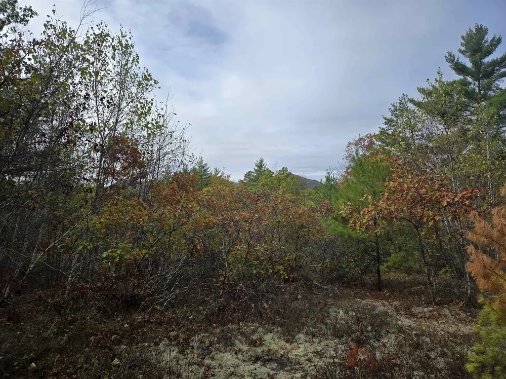 133 Plantation Lane Brownfield ME 04010