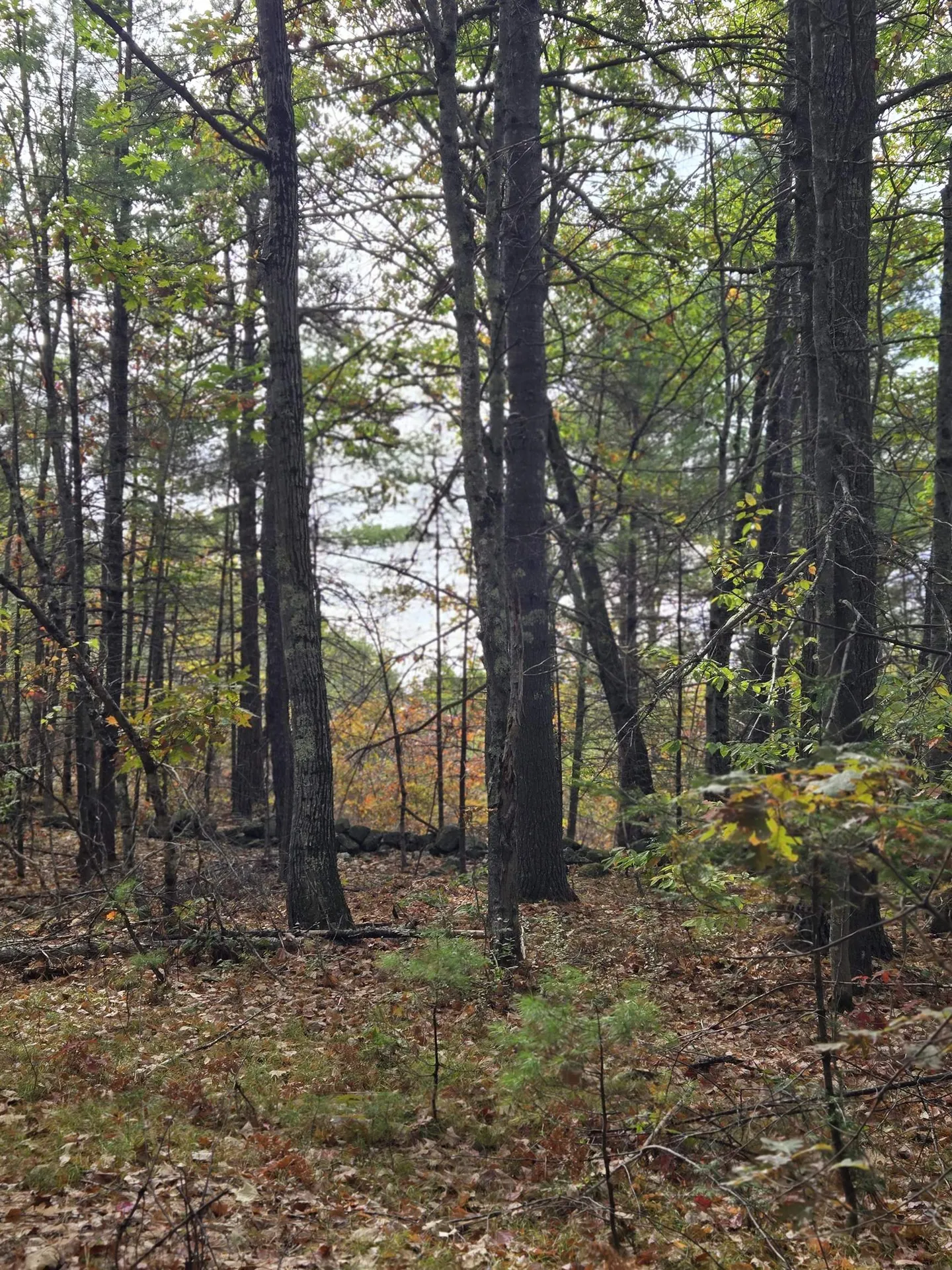 133 Plantation Lane Brownfield ME 04010