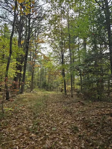 133 Plantation Lane Brownfield ME 04010