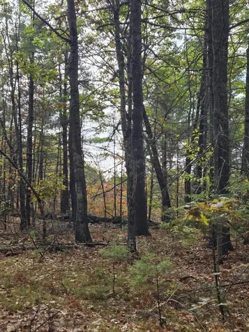 133 Plantation Lane Brownfield ME 04010