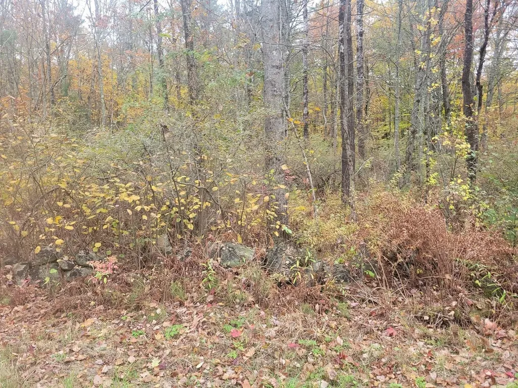 M2-L29-2 Province Road Barnstead NH 03218