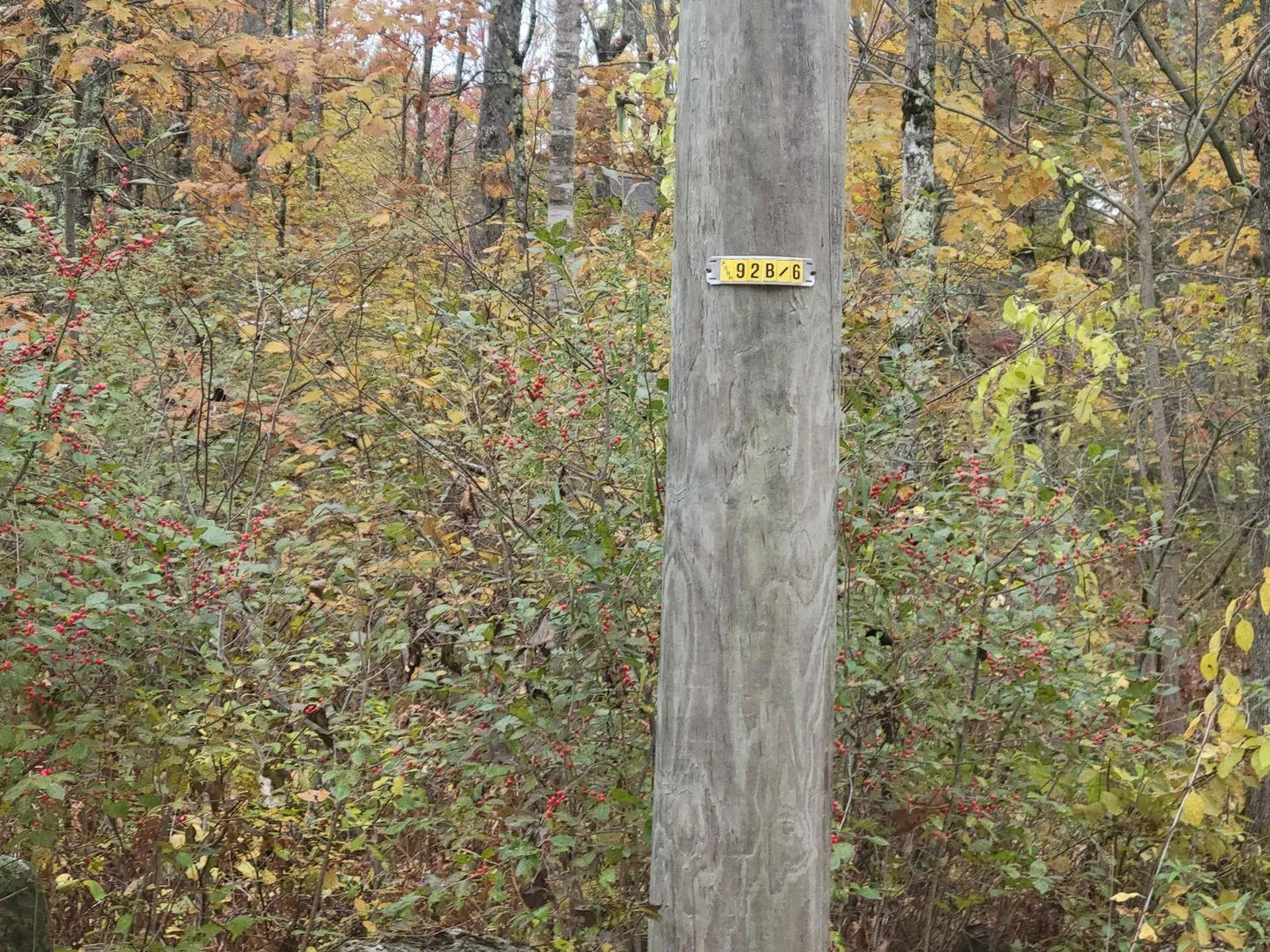 M2-L29-2 Province Road Barnstead NH 03218