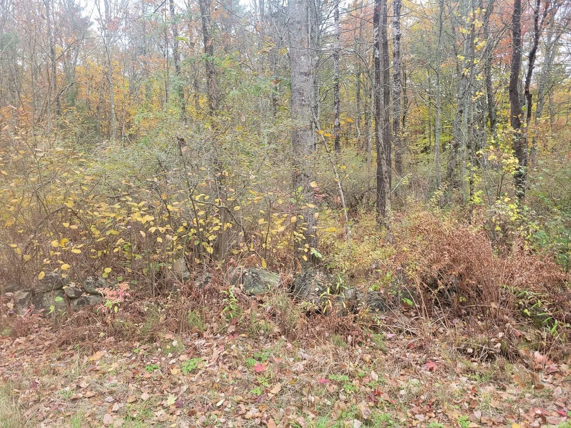 M2-L29-2 Province Road Barnstead NH 03218