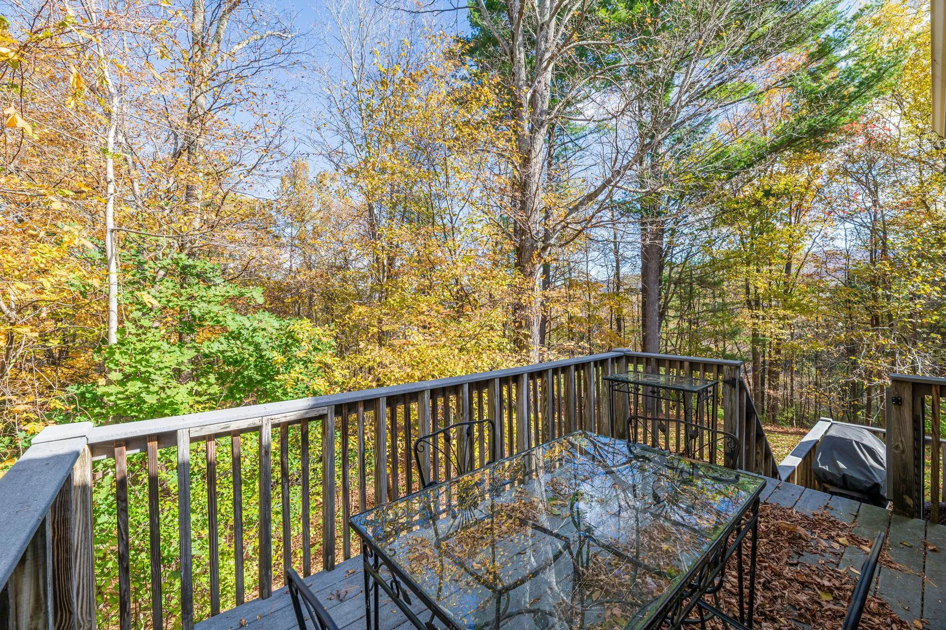 154 Kestrel Court Manchester VT 05254