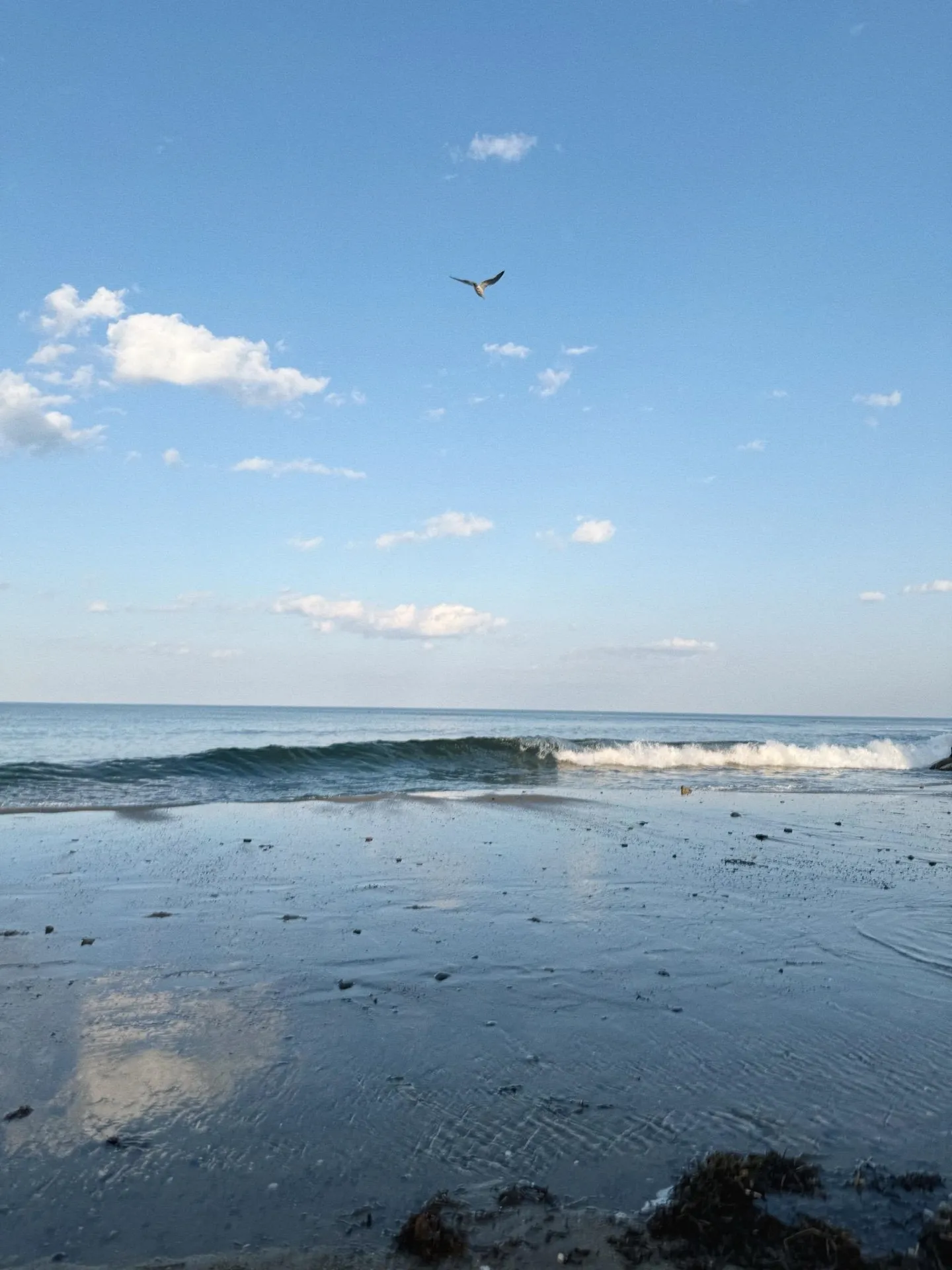 17 Johnson Avenue Hampton NH 03290-4906