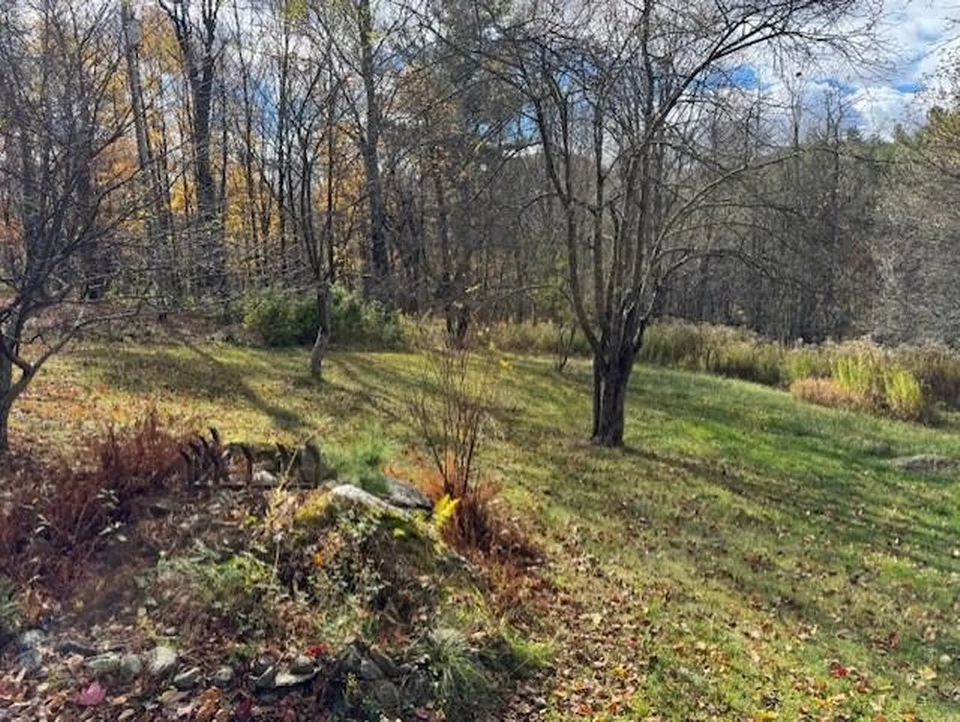 1856 Gibou Road Montgomery VT 05471