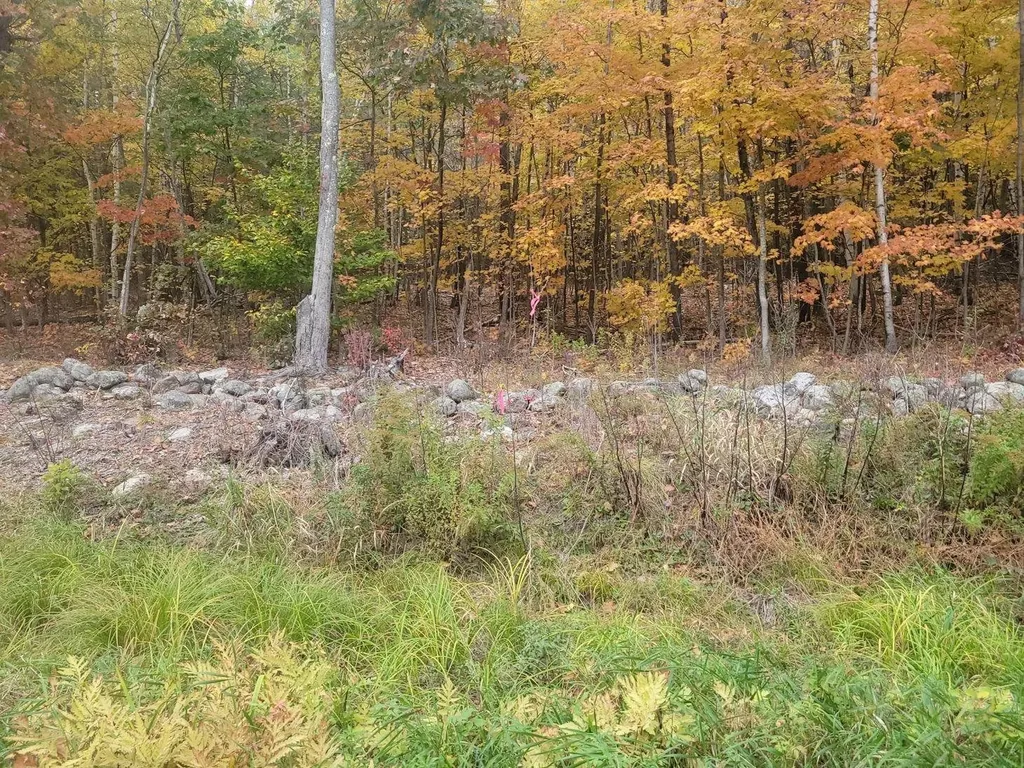 Lot 30-2-1 North Road Barnstead NH 03225