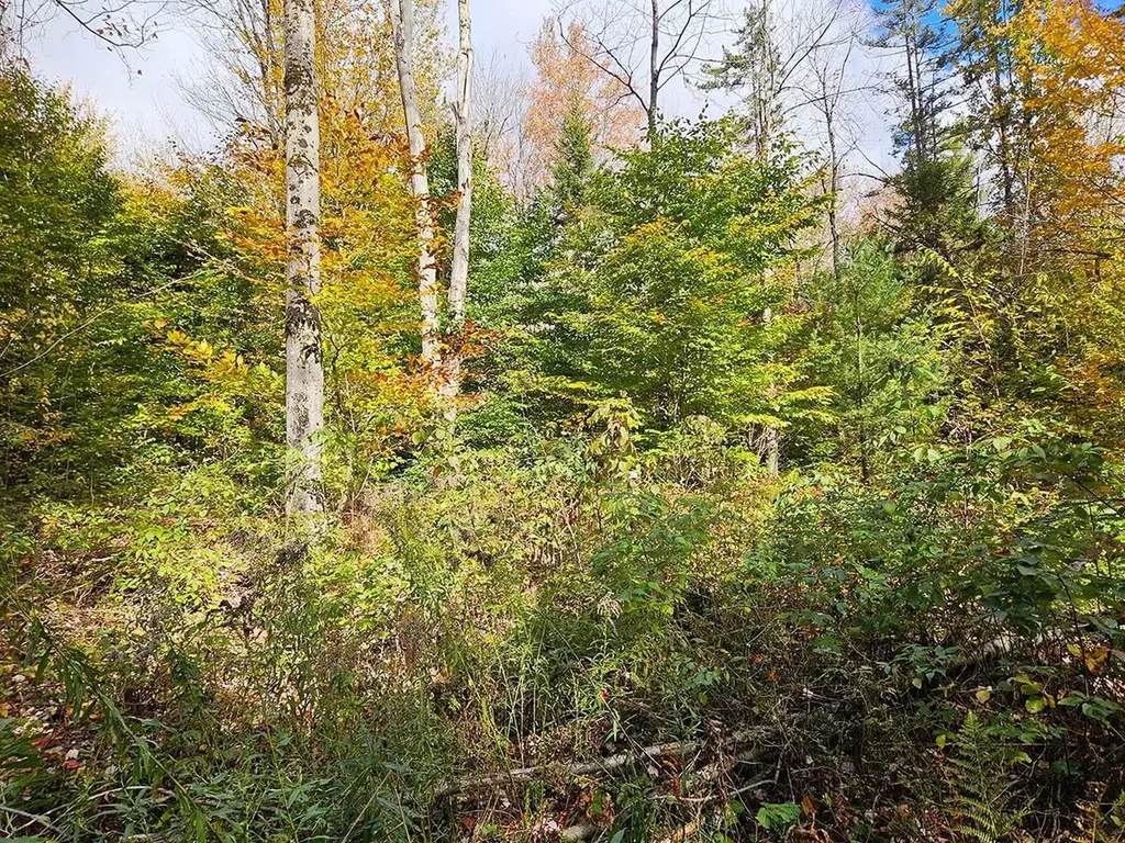 0 Oberland Valley Road Montgomery VT 05471