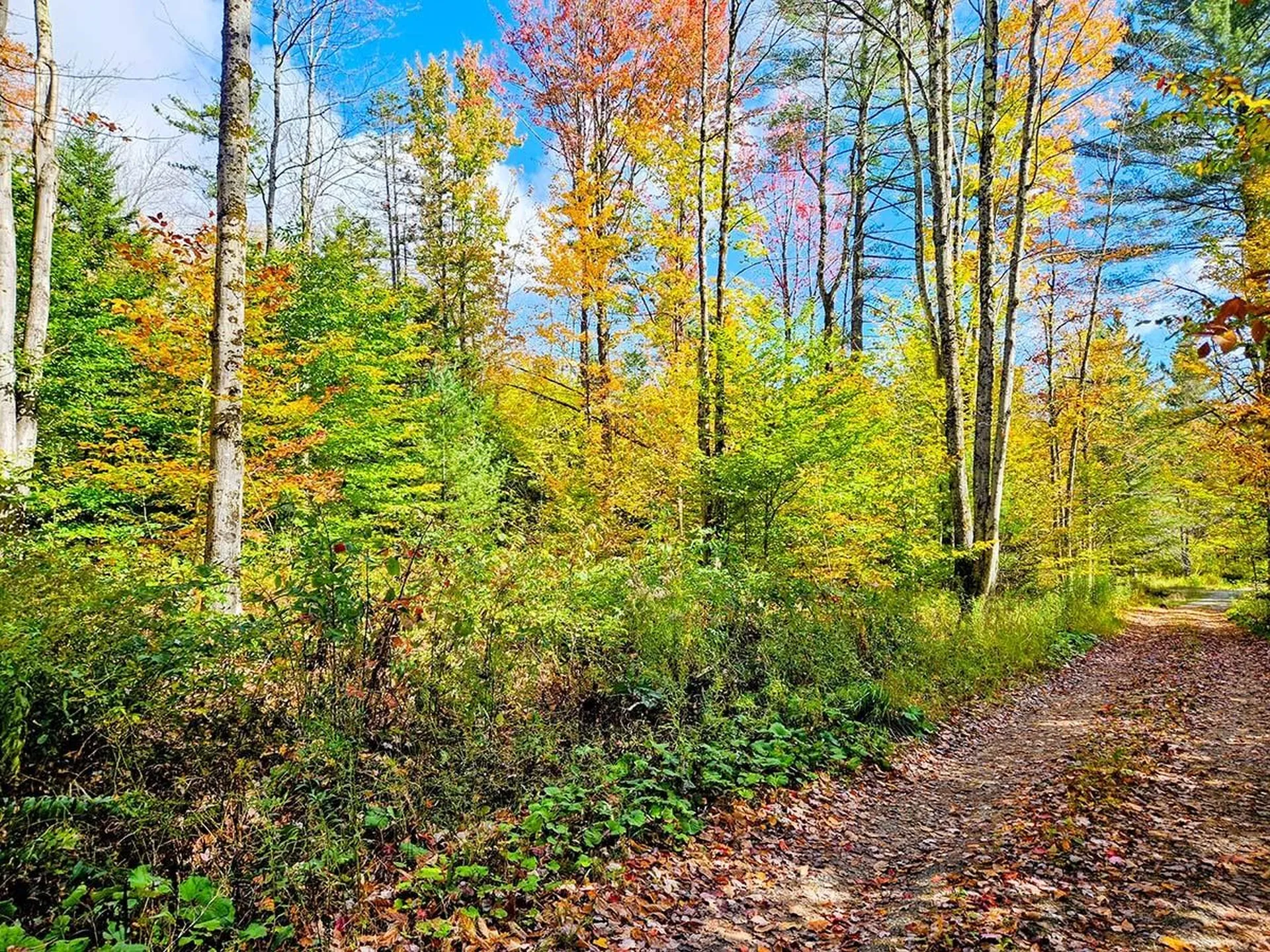 0 Oberland Valley Road Montgomery VT 05471