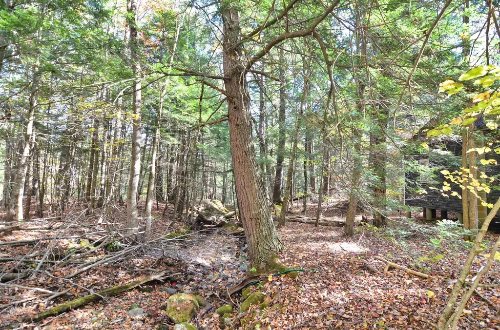 46 Grafton Road Wilmot NH 03287