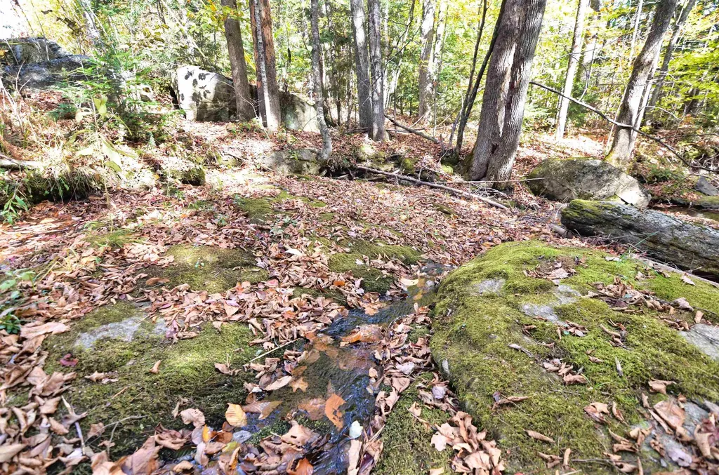 46 Grafton Road Wilmot NH 03287