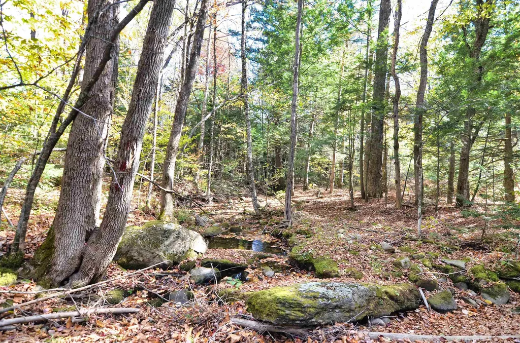 46 Grafton Road Wilmot NH 03287