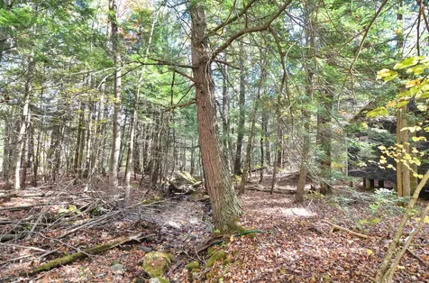 46 Grafton Road Wilmot NH 03287