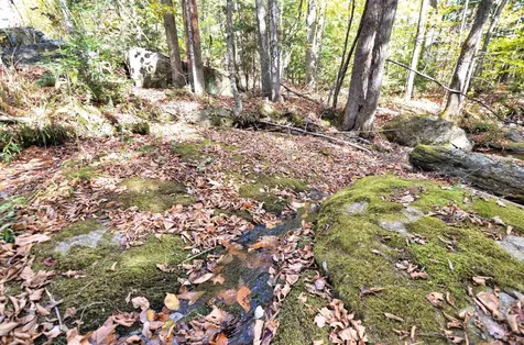 46 Grafton Road Wilmot NH 03287