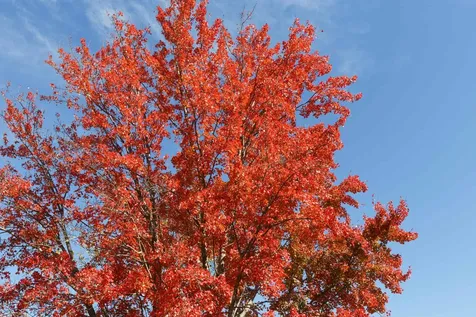 13 Ellsworth Street Concord NH 03301