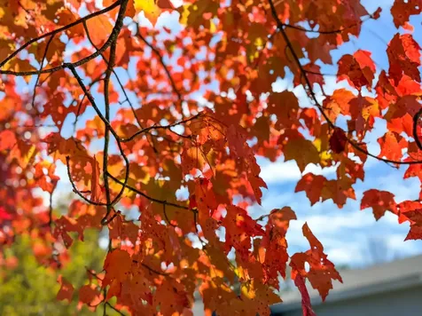 13 Ellsworth Street Concord NH 03301