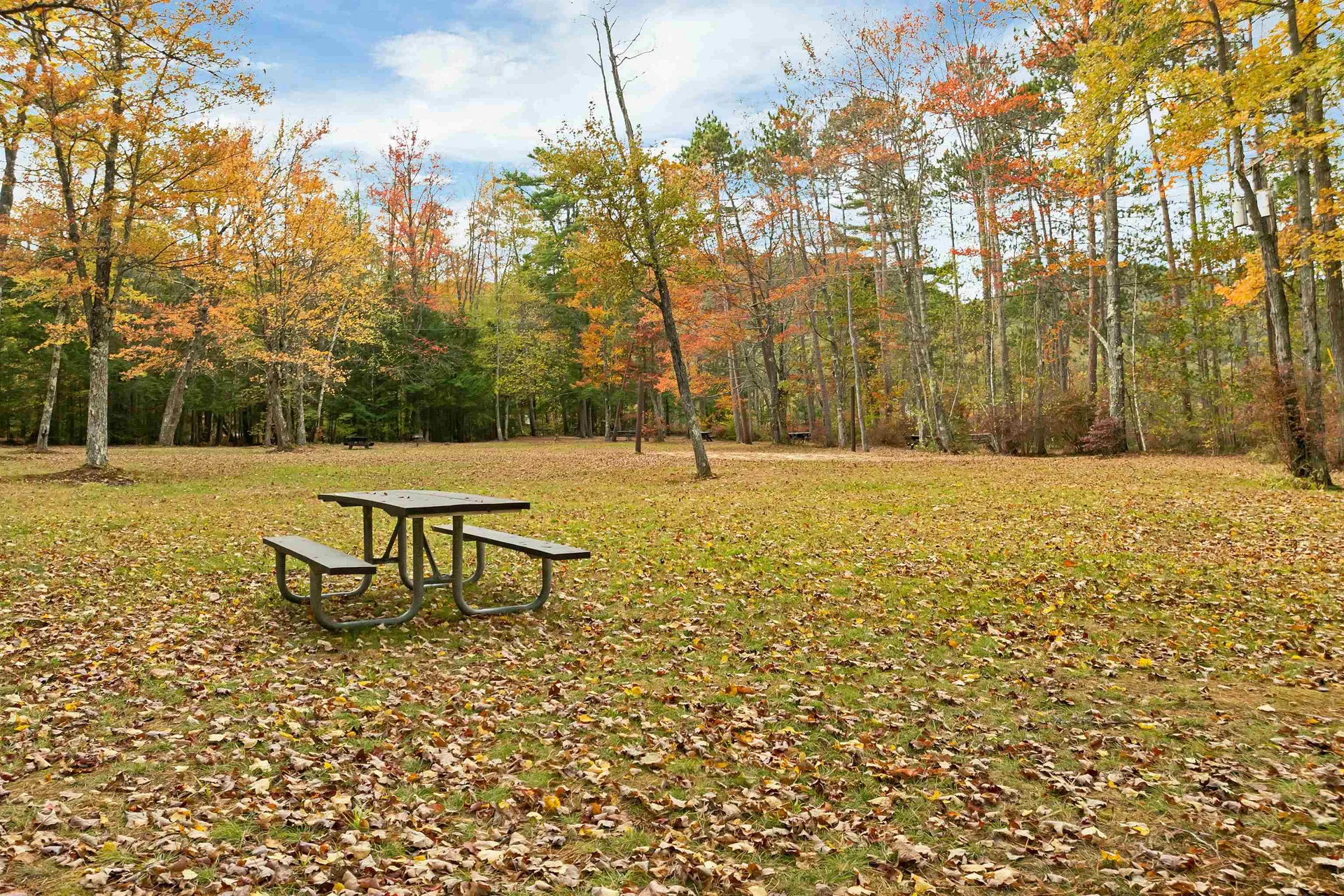 40 Adams Drive Bristol NH 03222