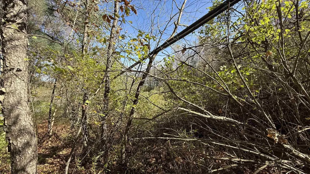 0 Vt Route 100c Johnson VT 05656