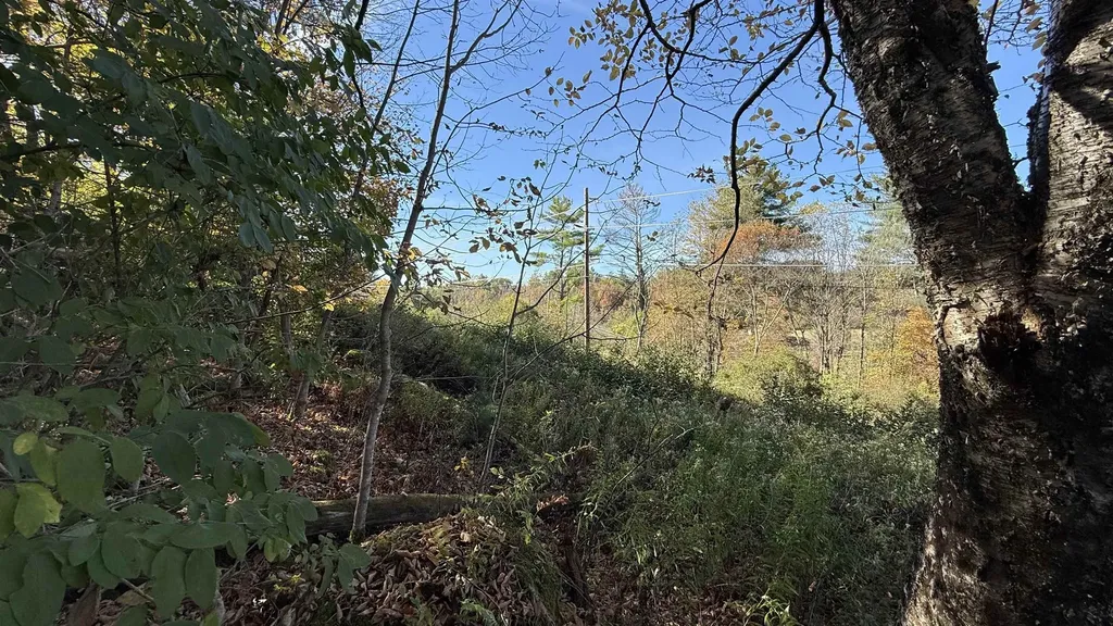 0 Vt Route 100c Johnson VT 05656