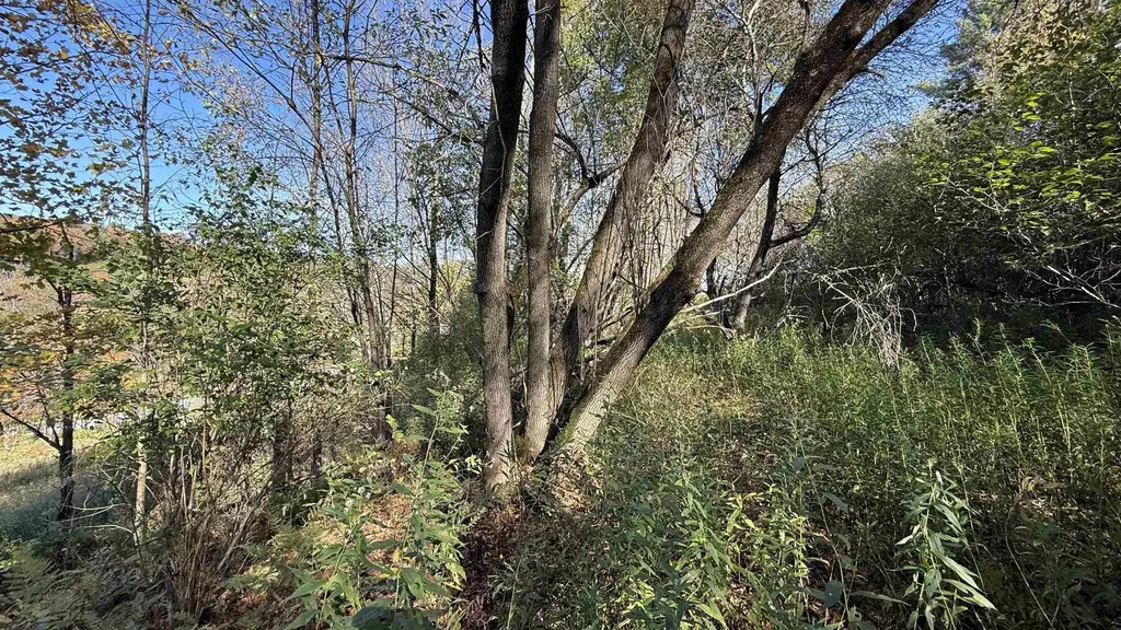 0 Vt Route 100c Johnson VT 05656