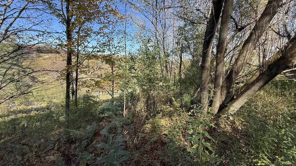 0 Vt Route 100c Johnson VT 05656