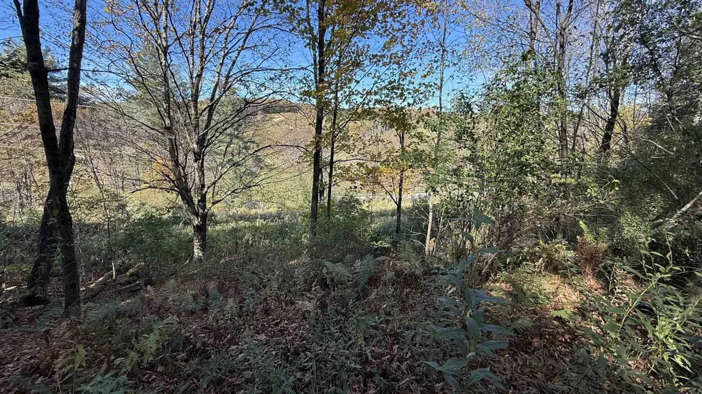 0 Vt Route 100c Johnson VT 05656