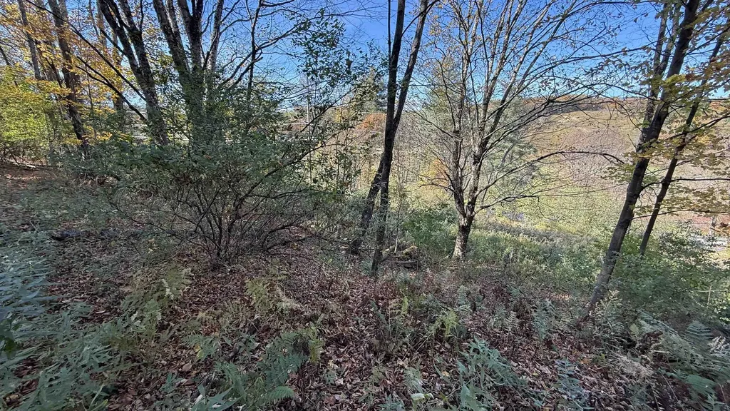 0 Vt Route 100c Johnson VT 05656