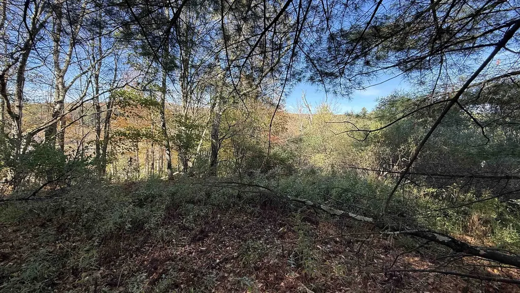 0 Vt Route 100c Johnson VT 05656